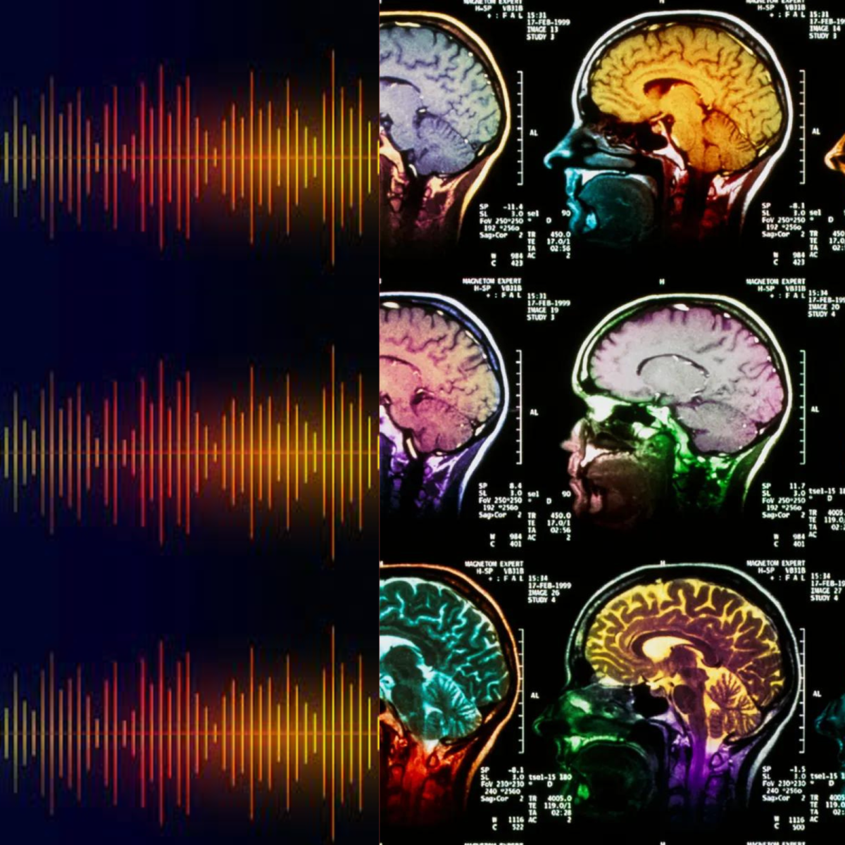 How does Music Frequency effect Humans?